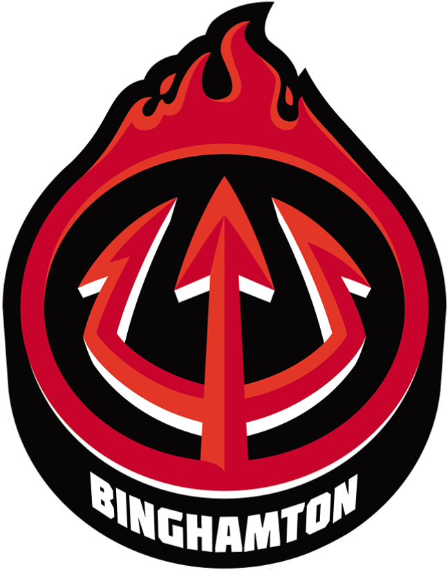 Binghamton Devils 2017-Pres Alternate Logo v2 iron on transfers for T-shirts